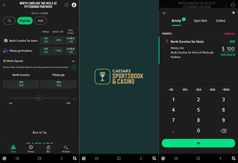 top betting sites